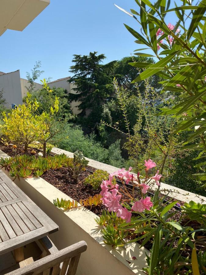C061-quiet With Terrace & Pool - * Cannes