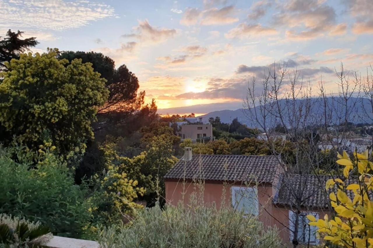 Appartamento C061-quiet With Terrace & Pool - Cannes